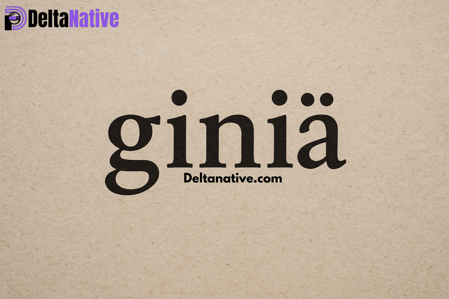 Giniä