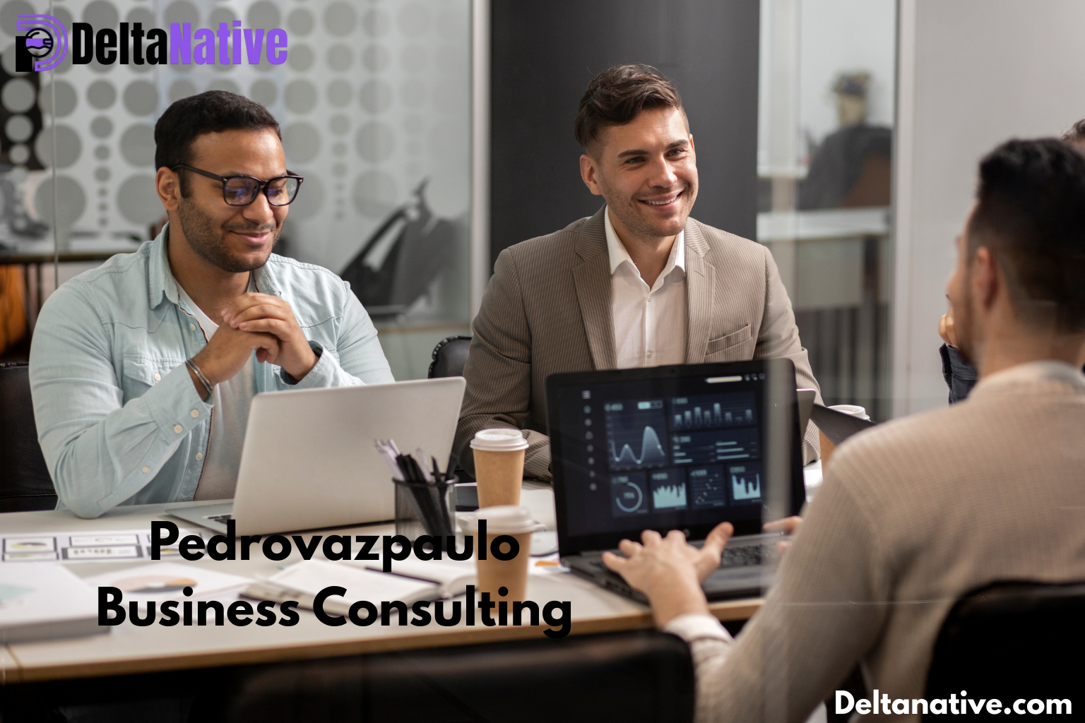 PedroVazPaulo Business Consulting