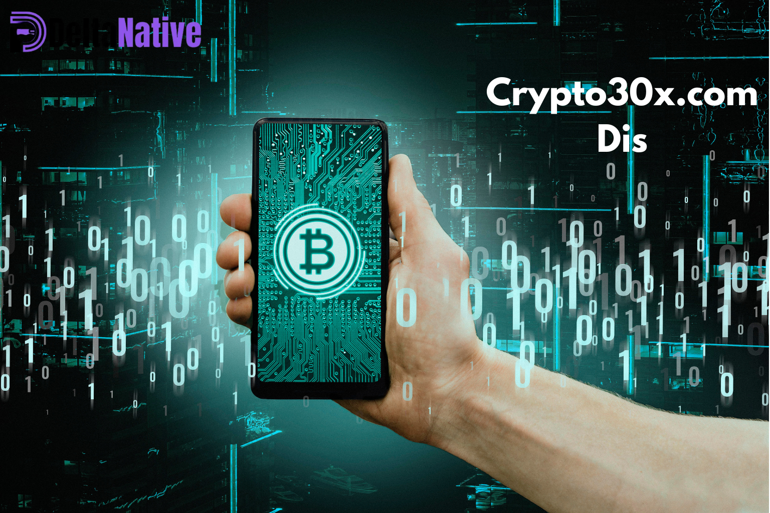 Crypto30x.com Dis